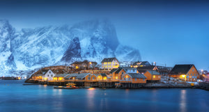 Serene nordic community near the water in winter